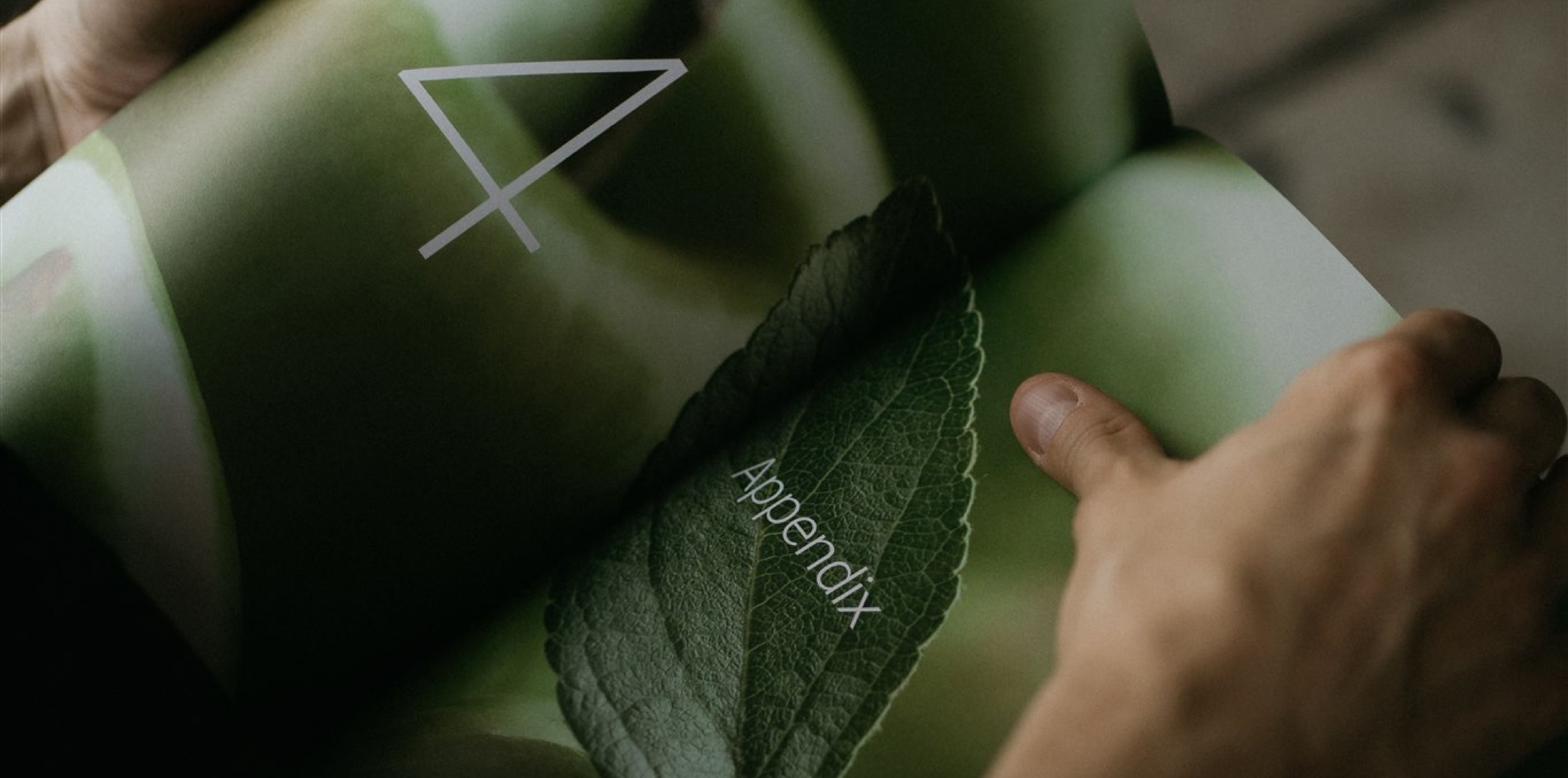 A close-up of a person holding a magazine or booklet featuring a green leaf design with the word 'Appendix,' symbolizing sustainability and detailed content.